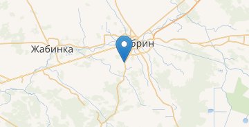 地图 Petki, Kobrinskiy r-n BRESTSKAYA OBL.