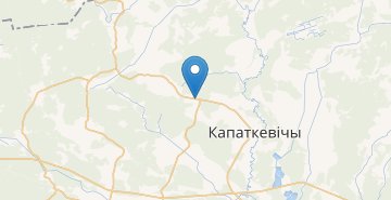 Карта Залесье, Петриковский р-н ГОМЕЛЬСКАЯ ОБЛ.