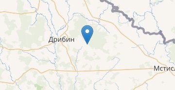 Mapa Temnyy Les, Dribinskiy r-n MOGILEVSKAYA OBL.