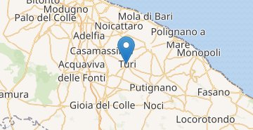 Карта Тури 