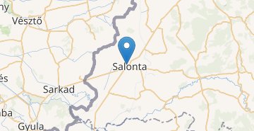 Mapa Salonta