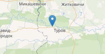 Map Voronino, ZHitkovichskiy r-n GOMELSKAYA OBL.