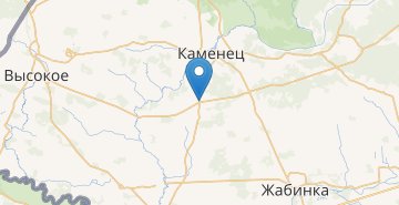 Карта Видомля, Каменецкий р-н БРЕСТСКАЯ ОБЛ.