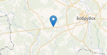 Map Borok, Bobruyskiy r-n MOGILEVSKAYA OBL.